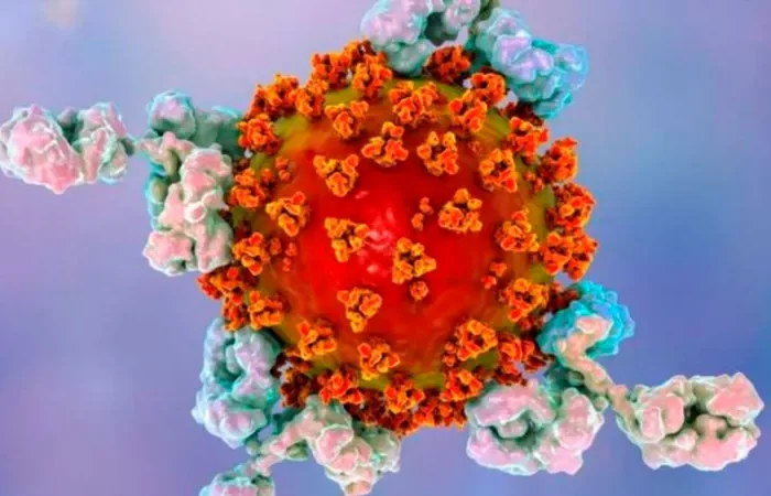 Mujer muere tras contagiarse de dos cepas de gripe aviar en China