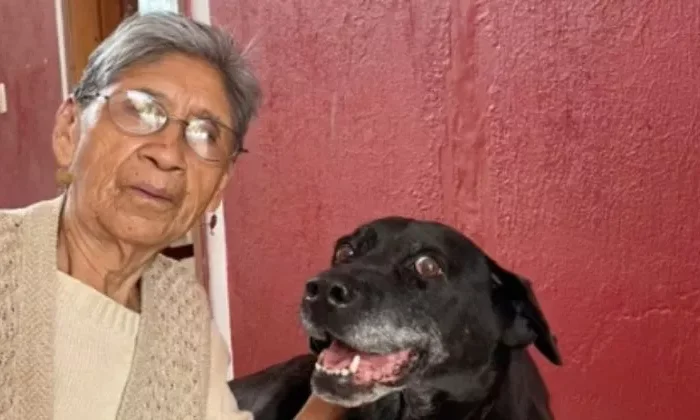 “Para mí eres una familia”: Abuelita conmueve con tierno mensaje para despedir a su perro