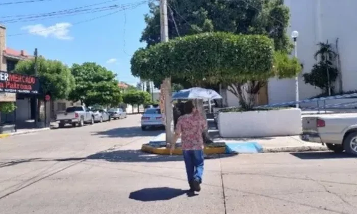 Dicen adiós a fríos intensos