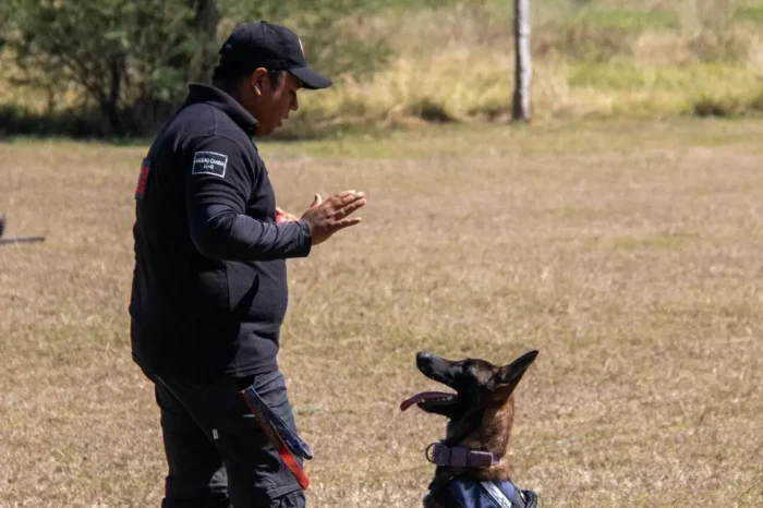 Estudiante de la UAT aporta su experiencia en adiestramiento canino al servicio comunitario