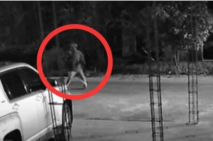 Ya llegaron, captan a supuesto  alíen en Valle Hermoso