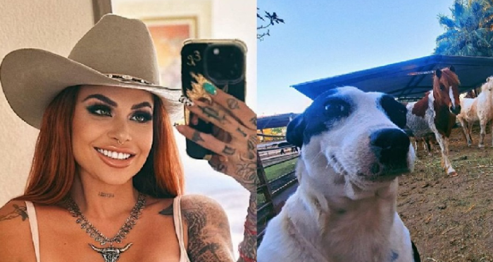 No todo eran caballos; ella es Altagracia, la perrita que rescató la activista Elena Larrea