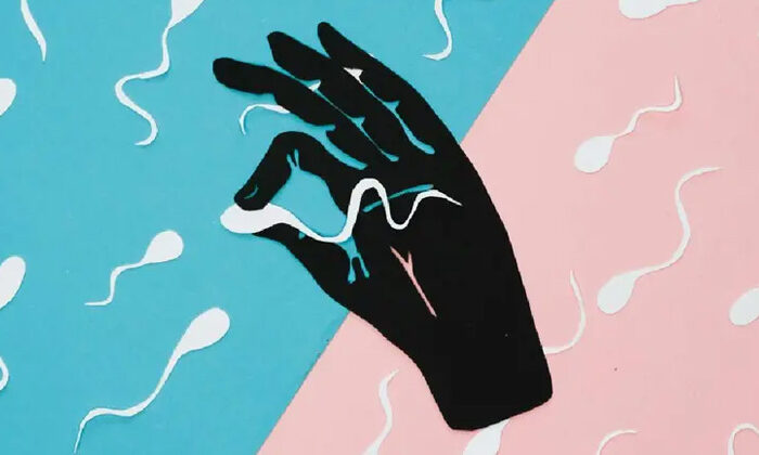 Mujer de 62 años extraerá esperma de su esposo muerto, quiere ser mamá otra vez