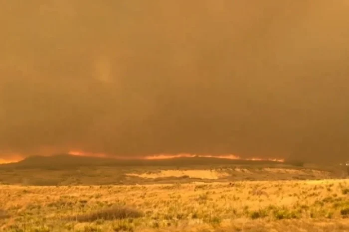 Incendio forestal en Texas consume 405 mil hectáreas; lo consideran el 'peor' de la historia