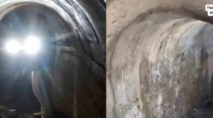 Mujer descubrió un refugio subterráneo de la Segunda Guerra Mundial en su patio