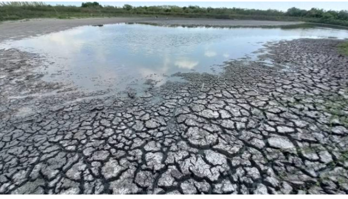 Ponen en “rojo” a Tamaulipas por sequía extrema