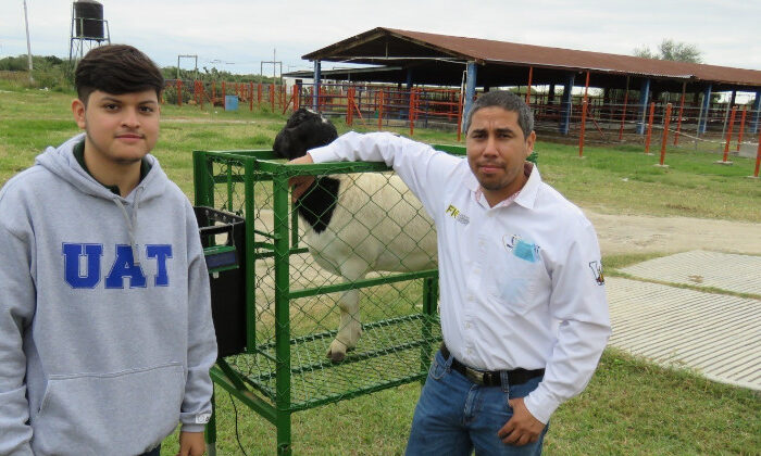 Estudiantes desarrollan sistema de monitoreo para alimentar borregos