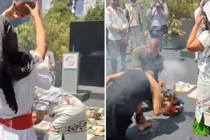 Sacrifican a gallina como parte de un ritual en el Senado de la República