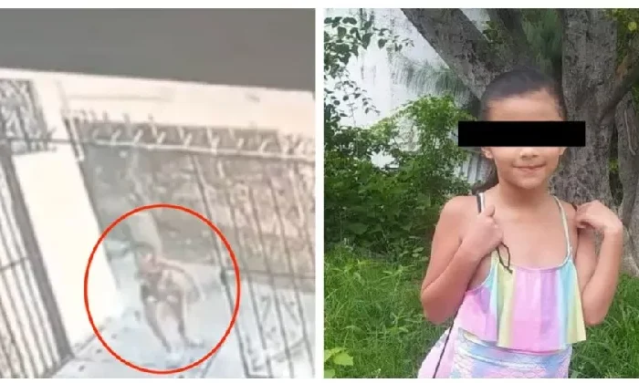 Videos revelan que Camila fue asesinada minutos después de haber llegado a jugar con su amiga