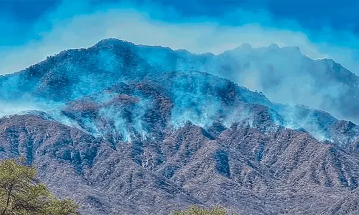 Se duplican los incendios forestales en Tamaulipas