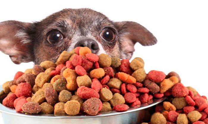 PROFECO revela cuál es la mejor y más barata marca de croquetas para perro
