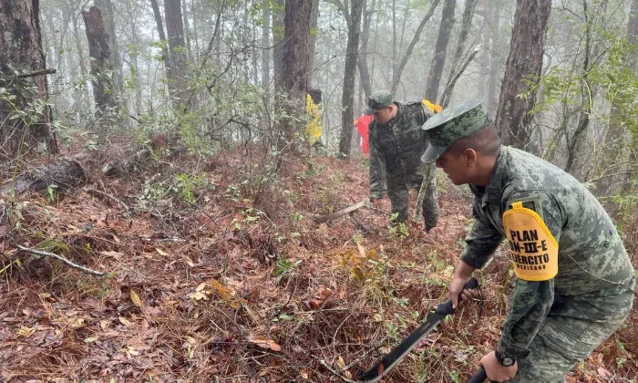 Incendio forestal ya quemó 55 hectáreas en Güémez