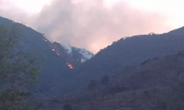 Sigue lucha contra poderoso incendio forestal en Tula
