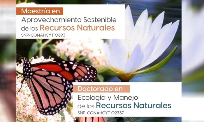 Invita la UAT a cursar posgrados
