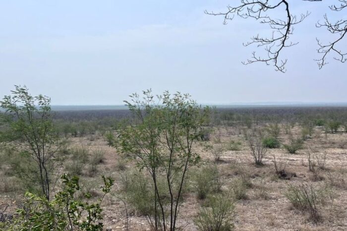 Sequía, incendios y crisis hídrica ponen en jaque a Tamaulipas