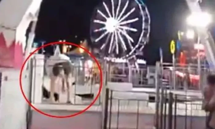 Hombre intenta salvar a perrito y es impactado por juego mecánico