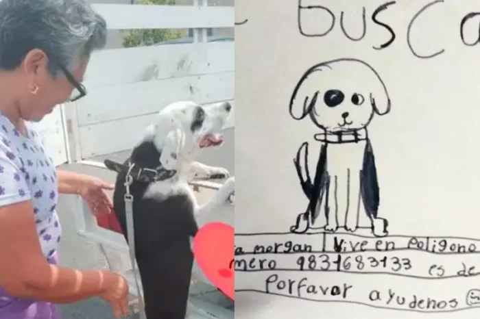 Abuela encuentra a su mascota perdida gracias al dibujo realizado por su nieta en Quintana Roo