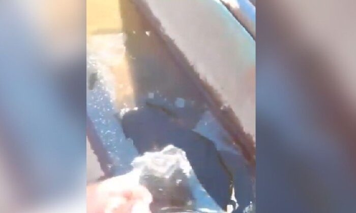 Se registra helada tardía en Chihuahua
