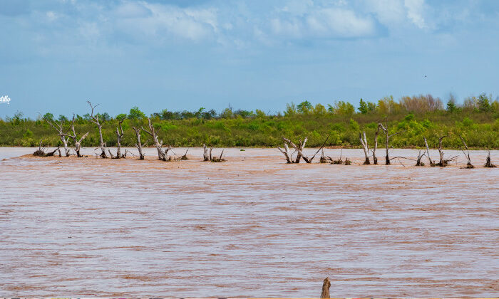Amanece la Vicente Guerrero al 32% y sumando