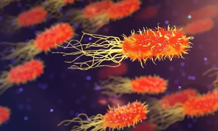 Así de mortal es la bacteria carnívora que tiene en alerta a Japón