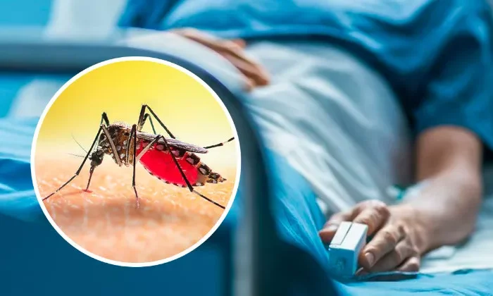 Investigan la primer muerte por dengue