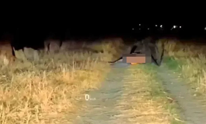 Captan un supuesto nahual en video