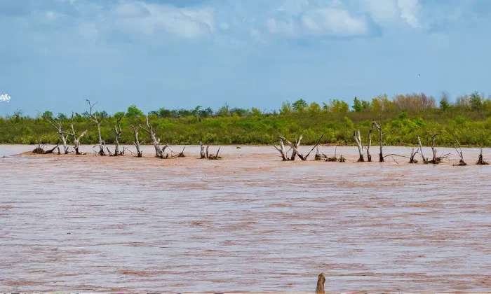 La Presa Vicente Guerrero ya está al 14.5% de su capacidad