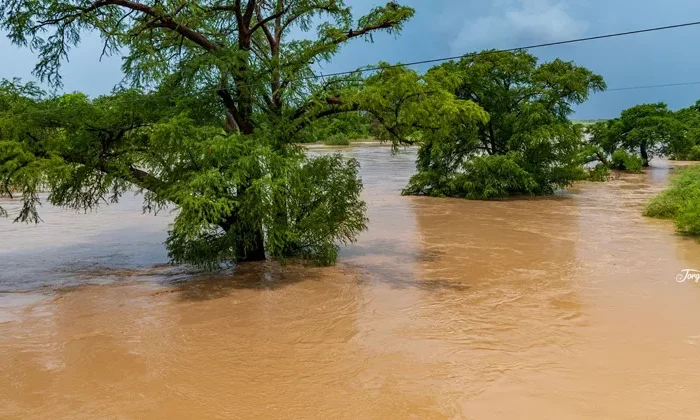 Reviven lagunas, ríos y presas de Tamaulipas