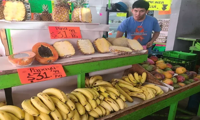Altas temperaturas aumentan hasta 300% la canasta básica