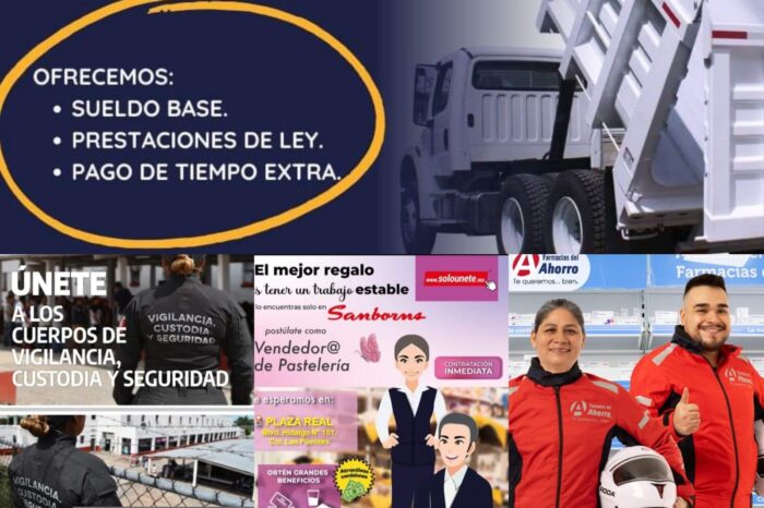 Visión del Alcalde Carlos Peña Ortiz permite mayor creación de empleo