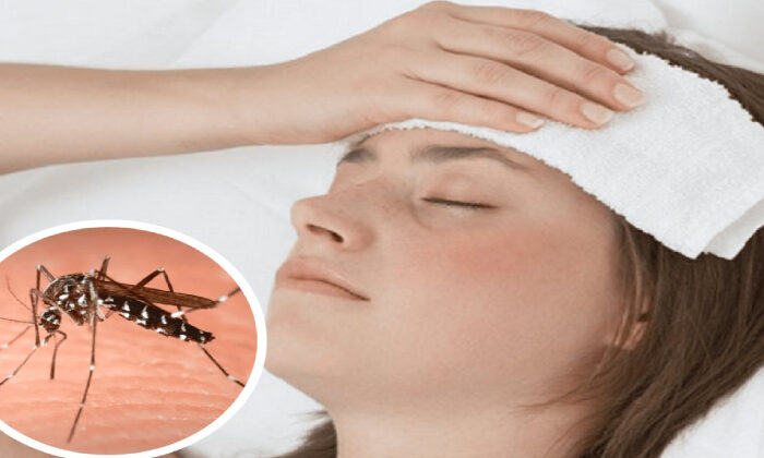 Acecha dengue a Tamaulipas