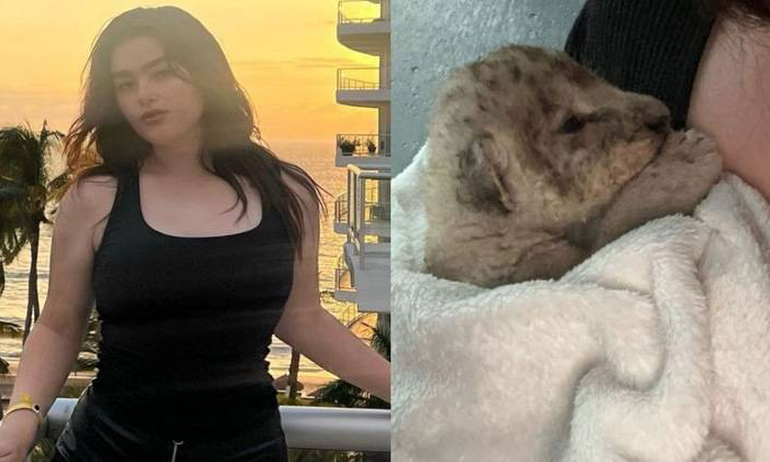Hija del Canelo Álvarez presume su mascota: un cachorro de león