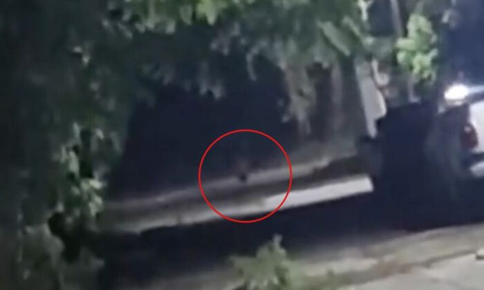 Circula en redes video de extraña figura caminando en la calle