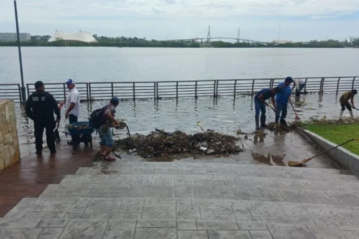 Advierten presencia de cocodrilos en zonas inundadas de Tampico