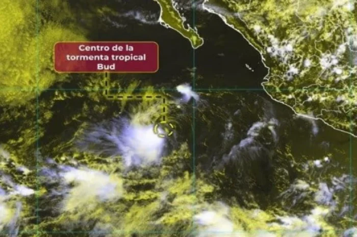 Se forma Bud, la nueva tormenta tropical en el Océano Pacífico