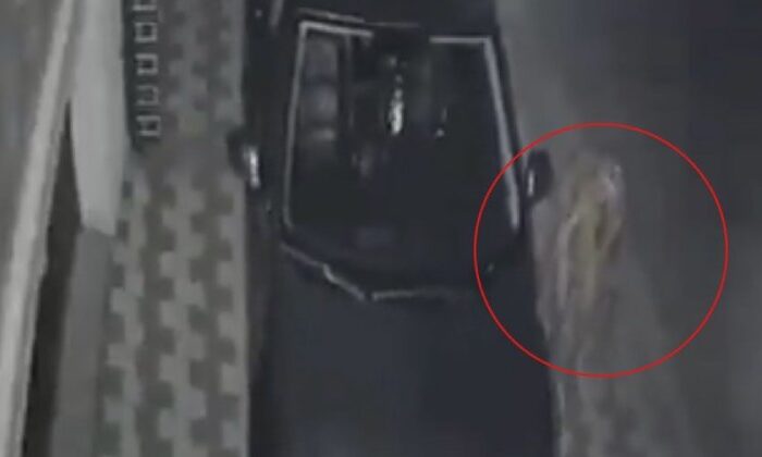 Captan extraña figura en video