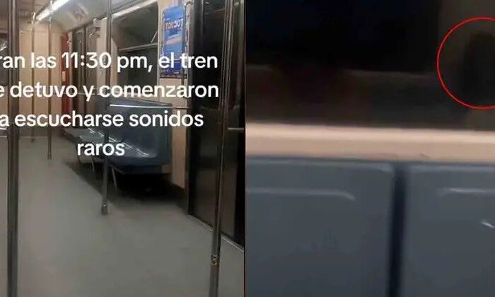 Captan figura espectral en un vagón del Metro