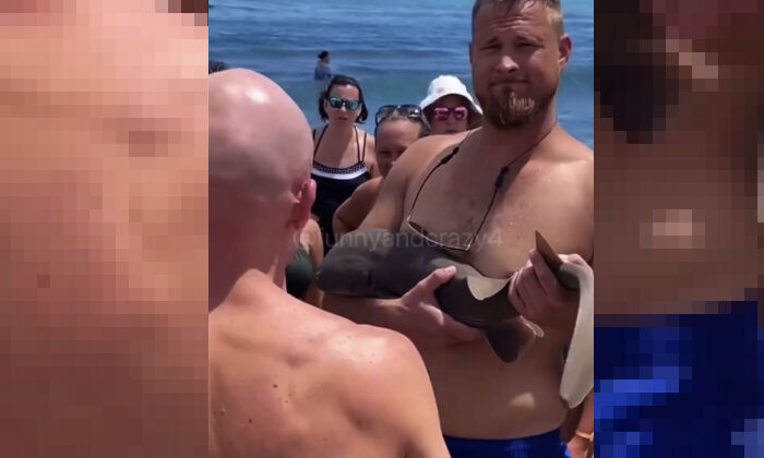 Tiburón bebé muerde a bañista y se queda aferrado al brazo