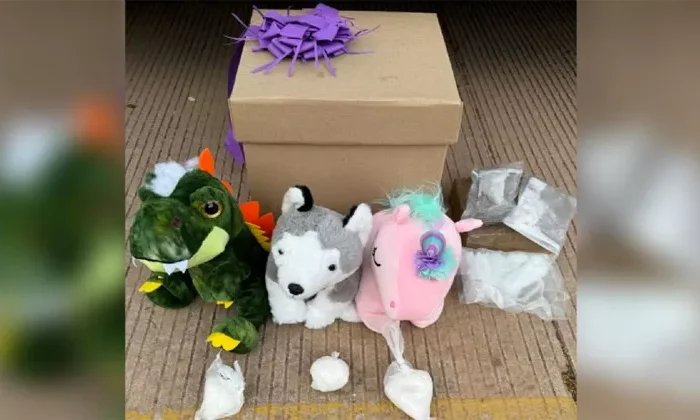 Descubren droga oculta dentro de peluches