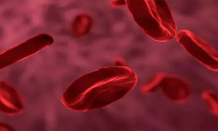 Hombre se cura del VIH tras someterse a trasplante de células madre