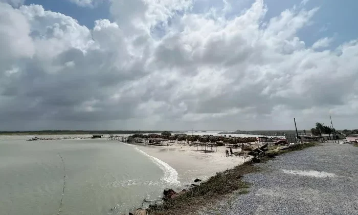 Descartan presencia de tiburones y cocodrilos en Playa “La Pesca”