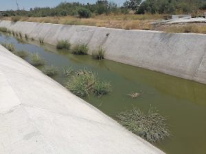 Nuevo canal pluvial en Nuevo Laredo se convierte en foco de infección y riesgo para la salud pública
