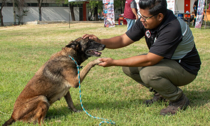 Promueve la UAT la adopción héroes caninos
