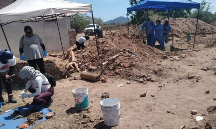 En Sonora, encuentran a más de 30 personas sin vida en una fosa clandestina