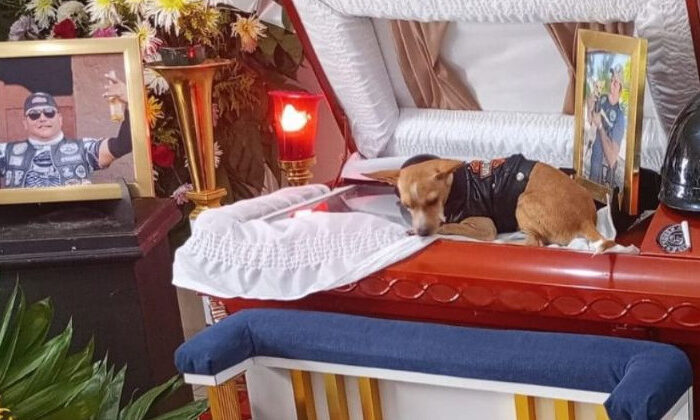 Lomito despide a su amigo motociclista tras trágico accidente en Tamaulipas