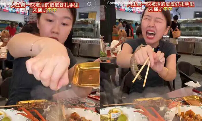 Camarón vivo ataca a influencer cuando intentaba cocinarlo