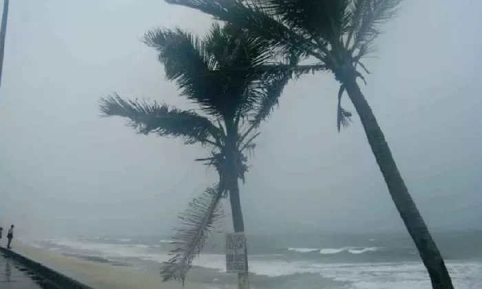 Vigilan onda tropical que llegaría a Tamaulipas si evoluciona