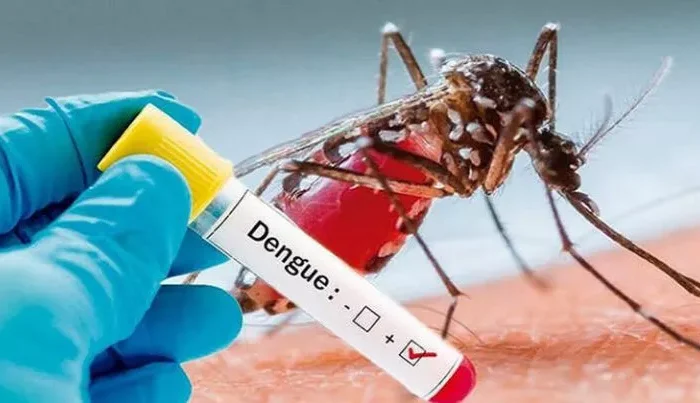 Registra Salud brote de dengue
