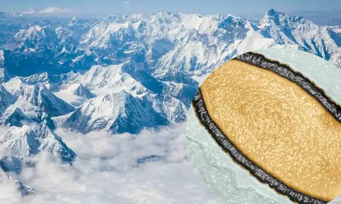 Descubren más de mil ‘virus zombies’ congelados en una montaña