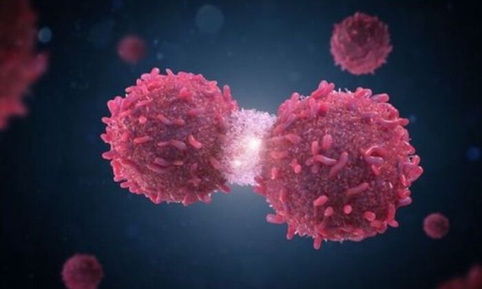 Estudio revela proteína que alimentaría al cáncer